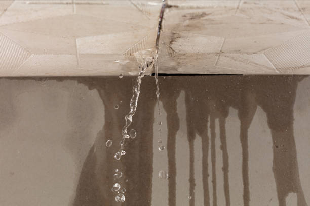 Professional Structural Drying technician working in Barrington, NH